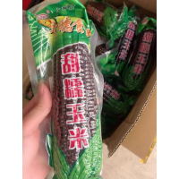10送4问君黑玉米新鲜现摘东北甜糯玉米真空紫黏粘玉米即食棒粒贪食铺仔-好食兔