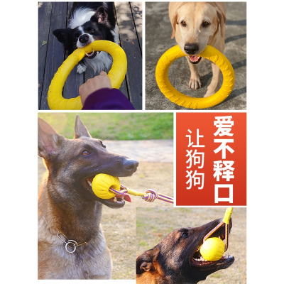 狗狗玩具武速达球星际大型耐咬磨牙马犬德牧幼犬专用训练带绳球飞盘拉环