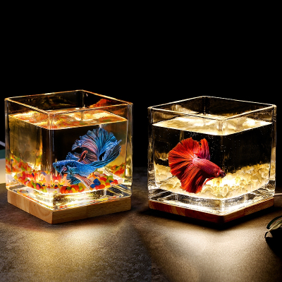 加厚方形玻璃鱼缸米妮客厅办公桌面创意生态小型斗鱼缸夜灯迷你缸