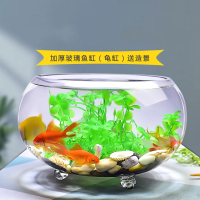 办公室米妮小鱼缸加厚透明玻璃乌龟缸客厅公司家用桌面圆形小型金鱼缸
