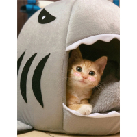 猫窝四季通用米妮鲨鱼狗窝封闭式猫咪的床宠物垫用品冬天保暖冬季睡袋