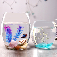 创意水族箱生态圆形玻璃金鱼缸大号乌龟缸迷你小型造景米妮水培花瓶