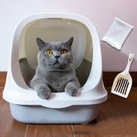 全封闭式猫砂盆大号米妮除臭防外溅奈摔猫厕所猫咪用品训练猫厕所