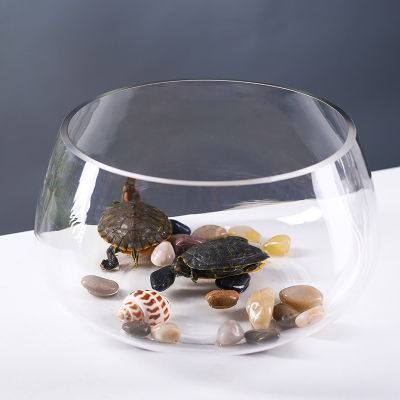 金鱼缸厚米妮玻璃桌面小鱼缸圆形乌龟缸小型鱼缸水族箱办公桌客厅迷你