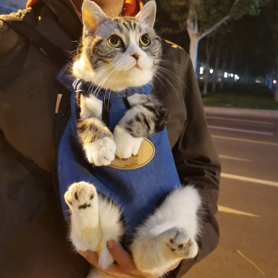 猫咪胸前包米妮背带猫包便携外出携带双肩背猫兜猫袋出行宠物用品背包