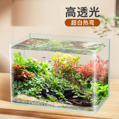 鱼缸热弯超白玻璃米妮小型水族箱桌面家用水草造景生态金鱼乌龟缸