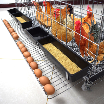 米妮鸡笼子养殖笼田鸡笼家用大号特大号养鸡笼子铁鸡舍自动下蛋鸡笼网