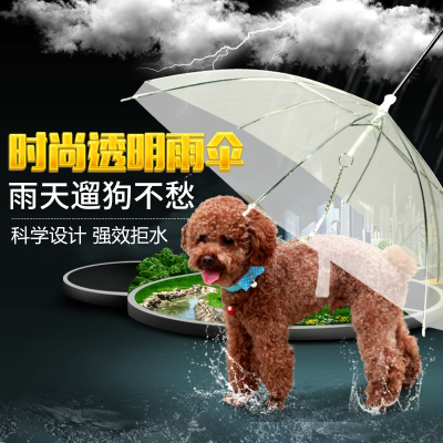 狗狗雨伞宠物雨伞米妮泰迪比熊小型犬小狗宠物雨衣雨披用品遛狗雨伞