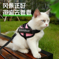 宠物米妮猫咪牵引绳背心式胸背带外出猫咪专用挣脱溜猫绳子栓猫绳子