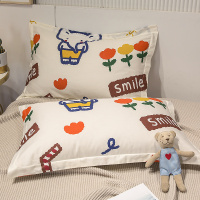 枕头套一对装双人单人学生宿舍枕大号家用枕套48x74cm春夏秋冬季