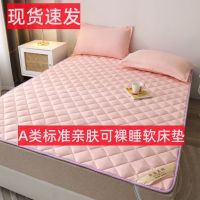 床垫软垫防滑薄垫子家用保护垫褥子榻榻米垫床套垫单双人铺底可洗
