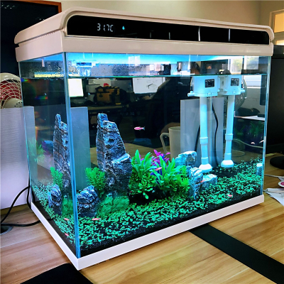 超白玻璃小鱼缸客厅小型米妮桌面家用水族箱生态免换水金鱼缸
