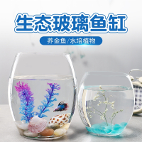 创意水族箱生态圆形玻璃金鱼缸大号乌龟缸迷你米妮小型造景水培花瓶