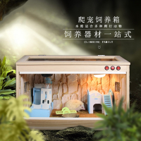 刺猬角蛙爬宠箱蛇鸟鬃狮饲养箱加热蜥蜴蜘蛛守宫米妮陆龟仓鼠虫保温箱
