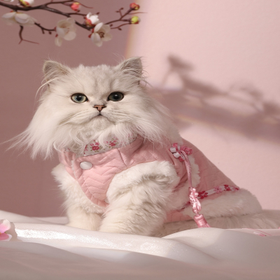 猫咪衣服冬季小猫唐装保暖汉服布偶英短猫猫幼猫可爱过年两脚棉衣