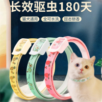 猫咪米妮项圈品狗圈颈圈小狗狗猫圈宠物