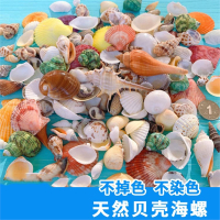 贝壳海螺鱼缸造景装饰小摆件水族箱布景套装龟缸底砂装饰品