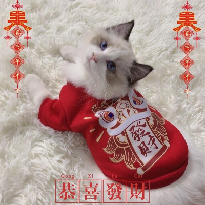 猫咪衣服米妮秋冬新年装拜年衣服狗狗宠物衣服加绒蓝猫小猫