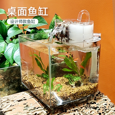 创意鱼缸米妮生态小型迷你家用桌面造景懒人免换水水族箱增氧