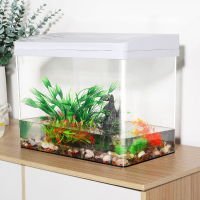 乌龟缸米妮家用客厅饲养箱养巴西龟亚克力透明生态缸鱼缸超白造景水草