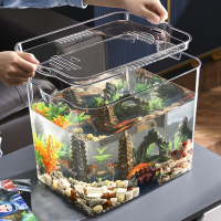 桌面收纳盒米妮透明鱼缸水族箱客厅阳台造景家用小型生态桌面缸水族箱