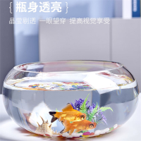 创意水族箱米妮生态圆形玻璃金鱼缸大号乌龟缸迷你小型造景水培花瓶