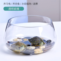鱼缸玻璃圆形米妮办公桌绿萝水培家用小鱼创意透明小型迷你桌面乌龟缸