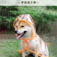 宠物小狗狗透明雨衣米妮大型金毛小型犬中型犬泰迪柴犬衣服防护服防水