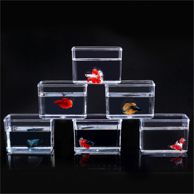 米妮斗鱼鱼缸新款办公室桌面专用小型亚克力生态积木盒小虾仿玻璃