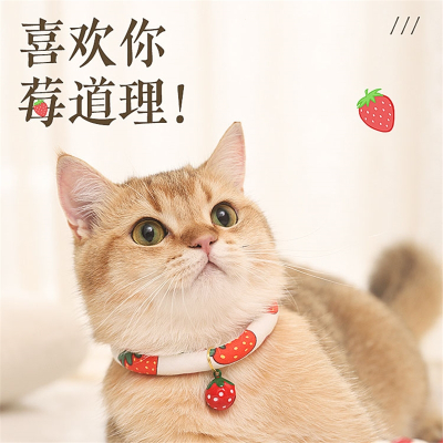 华元宠具(HOOPET)猫咪项圈狗狗脖圈脖饰围脖项链铃铛猫脖子小型犬幼猫配饰宠物饰品