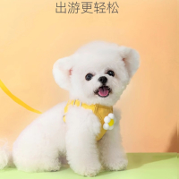米妮小狗狗牵引绳背心式遛狗绳子小衣服泰迪比熊小型犬胸背带外出狗链子宠物