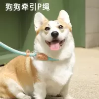 米妮狗狗牵引绳P绳遛狗绳子一体式防挣脱中大型犬冲P链牵狗绳狗链