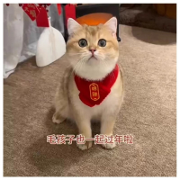 米妮猫咪新年围巾宠物围脖红色保暖中国风口水巾围兜狗狗新年装饰品挂牌