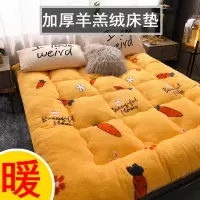 时光旧巷加厚羊羔绒床垫软垫保暖冬季垫子垫被褥宿舍单人学生珊瑚法兰绒毛床垫