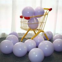 马卡龙紫色球 20个气球【无赠品】|网红加厚金属气球儿童生日派对波波婚礼布置装饰派对结婚婚房