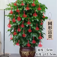 圆形富贵[8个]|新年春节装扮用品福字挂件盆景喜庆装饰乔迁元旦节日挂饰场景布置