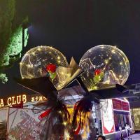 红玫瑰卡纸款 5套【送电池+打气筒】全套|网红透明发光透明波波球花束火爆带灯节日告白夜市摆摊气球