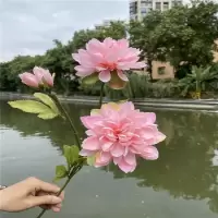 3头波兰菊粉色|仿真3头波兰菊 大丽花绢花婚庆插花装饰婚礼堂昙花秋菊大礼花