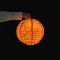 粉底虞美人(直径30CM) 无配件|宵节挂饰纸灯笼中国风舞蹈装饰中式古风汉服拍照手提仿古吊灯罩