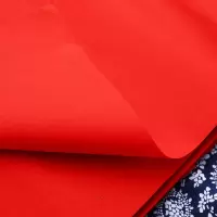 双面大张红纸 (75*106厘米)红纸20张卷发|结婚用大张红纸喜庆婚礼压井盖写毛笔对联喜字剪纸朱砂纸婚庆用品