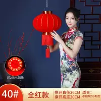带2米灯线+LED灯[升级款] 60#[百年好合一对]直径37厘米|春节大红灯笼结婚喜字灯笼新年大门户外防水植绒灯笼乔迁