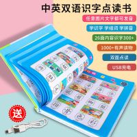 识字点读书312个汉字[充电款]|早教儿童识字卡片300字宝宝幼儿园认字书神器启蒙有声读物点读书