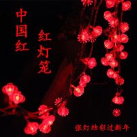 红灯笼 USB款6米40灯8闪|led灯笼中国结灯串彩灯闪灯户外布置装饰挂灯七彩春节新年家用