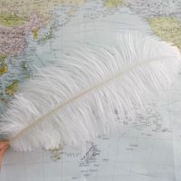 45-50cm珍珠白1根|精品鸵鸟羽毛装饰羽毛婚庆桌花欧式客厅梳妆台摆件拍照道具45-50c