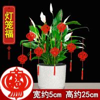灯笼福[8个装] [一包装]|大红小灯笼挂饰树上户外布置室内盆景挂件结婚喜庆新年春节装饰品