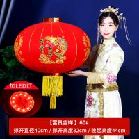 [升级带2米灯线LED款] 60型号[年年有余]1对价格|新年大红灯笼灯中国风挂饰户外阳台大门吊灯春节过年宫灯乔迁灯笼