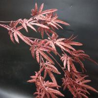 枫叶十枝|十枝装红色系列仿真花婚庆道具路引插花花艺中式婚礼配材装饰