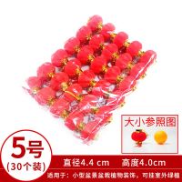 5号一包30个|植绒灯笼婚庆灯笼灯笼串室内小灯笼挂饰小红灯笼大红灯笼