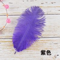 25-30cm紫色|25至30cm鸵鸟毛 婚庆摆设羽毛舞台演出道具酒店装饰品各种长