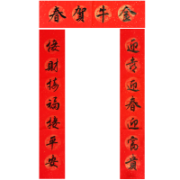 春联]迎喜迎春迎富贵/接财接福接平安 [金字]尺寸34*180cm|对联手写新居乔迁结婚大门过年新年2021牛年春节